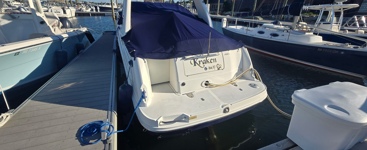 2006 26' Sea Ray 260 Sundancer