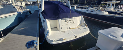 2006 26' Sea Ray 260 Sundancer