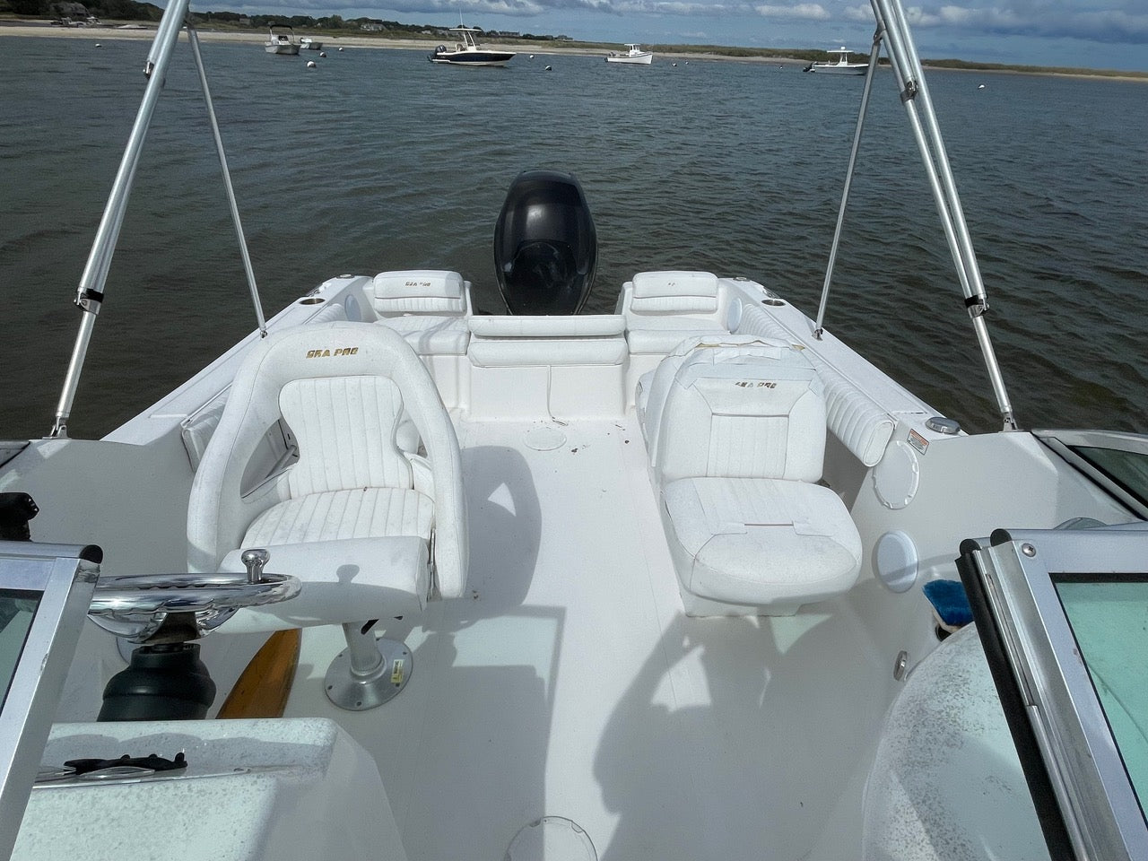 2007 21' Sea Pro 216