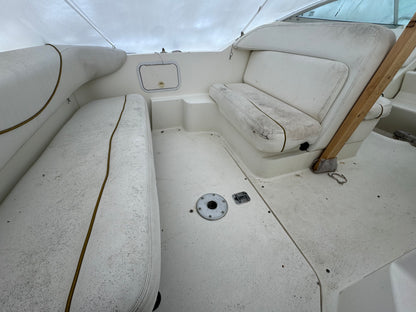 2000 24' Sea Ray Weekender