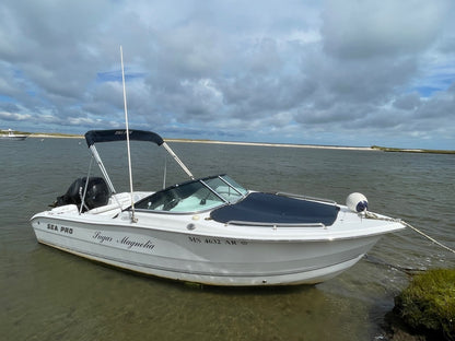 2007 21' Sea Pro 216