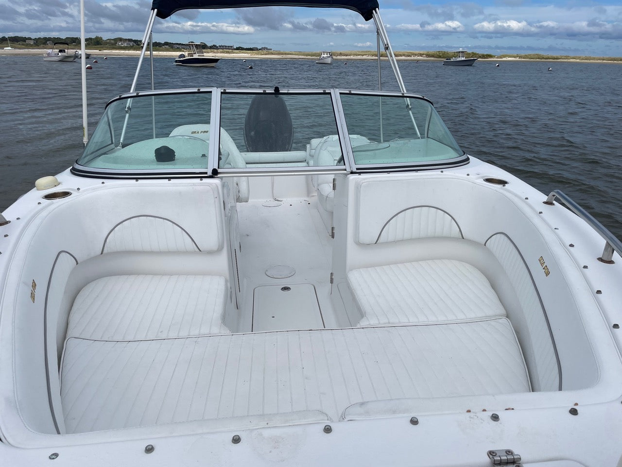 2007 21' Sea Pro 216