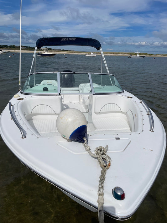 2007 21' Sea Pro 216